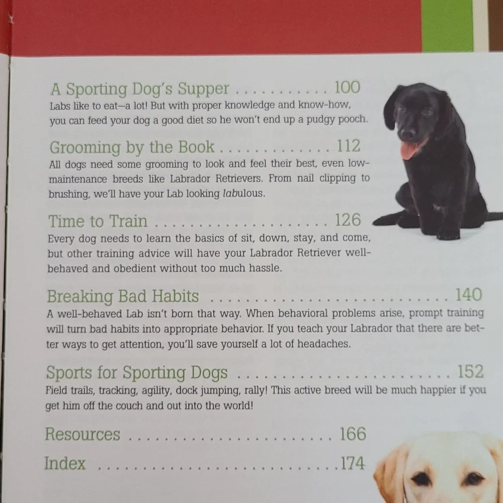 Labrador Retriever book from Dog Fancy magazine